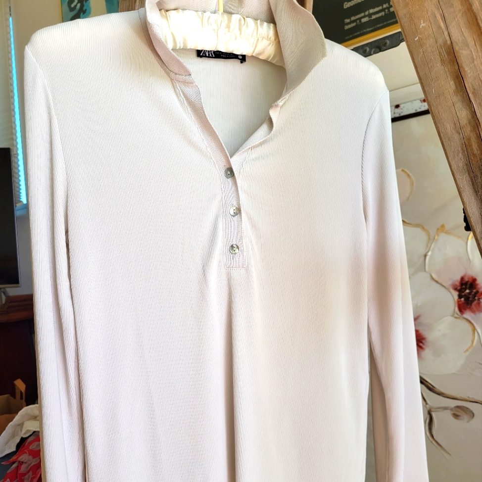Zara Top Basic